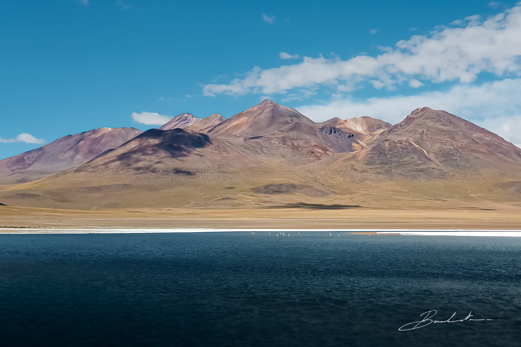 Bolivie